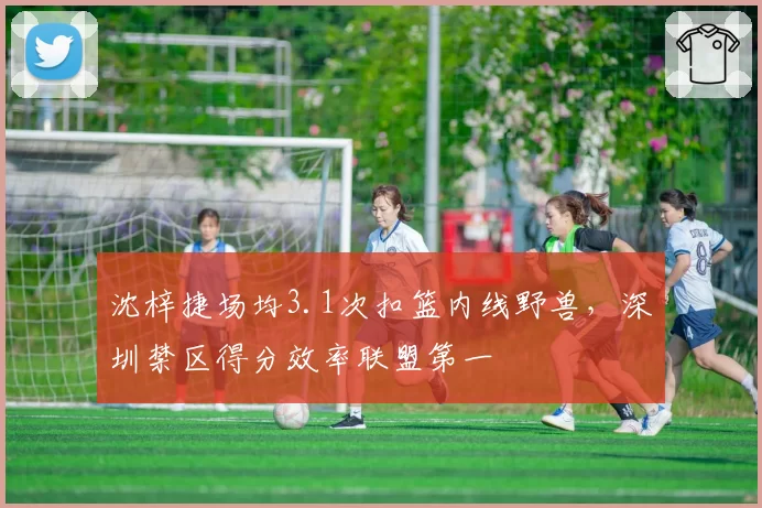 沈梓捷场均3.1次扣篮内线野兽，深圳禁区得分效率联盟第一