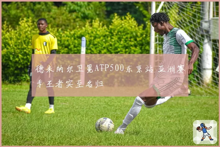 德米纳尔卫冕ATP500东京站 亚洲赛季王者实至名归